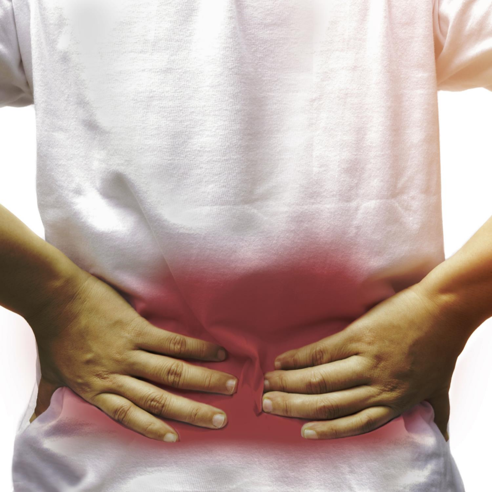 Bel Problemleri İçin Fizyoterapi Danışmanlığı (Yüz Yüze)