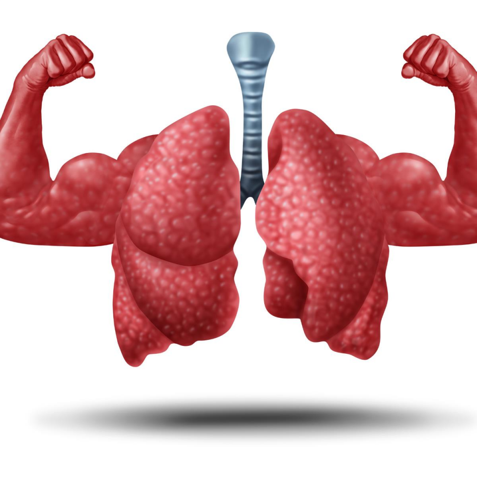 Pulmoner Rehabilitasyon Danışmanlığı (Yüz Yüze)