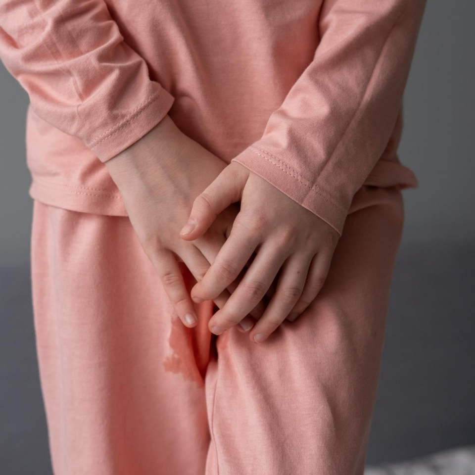 İnkontinans Egzersiz Danışmanlığı (Online)