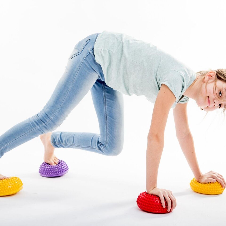 Proprioseptif Duyu Bütünleme (Online)