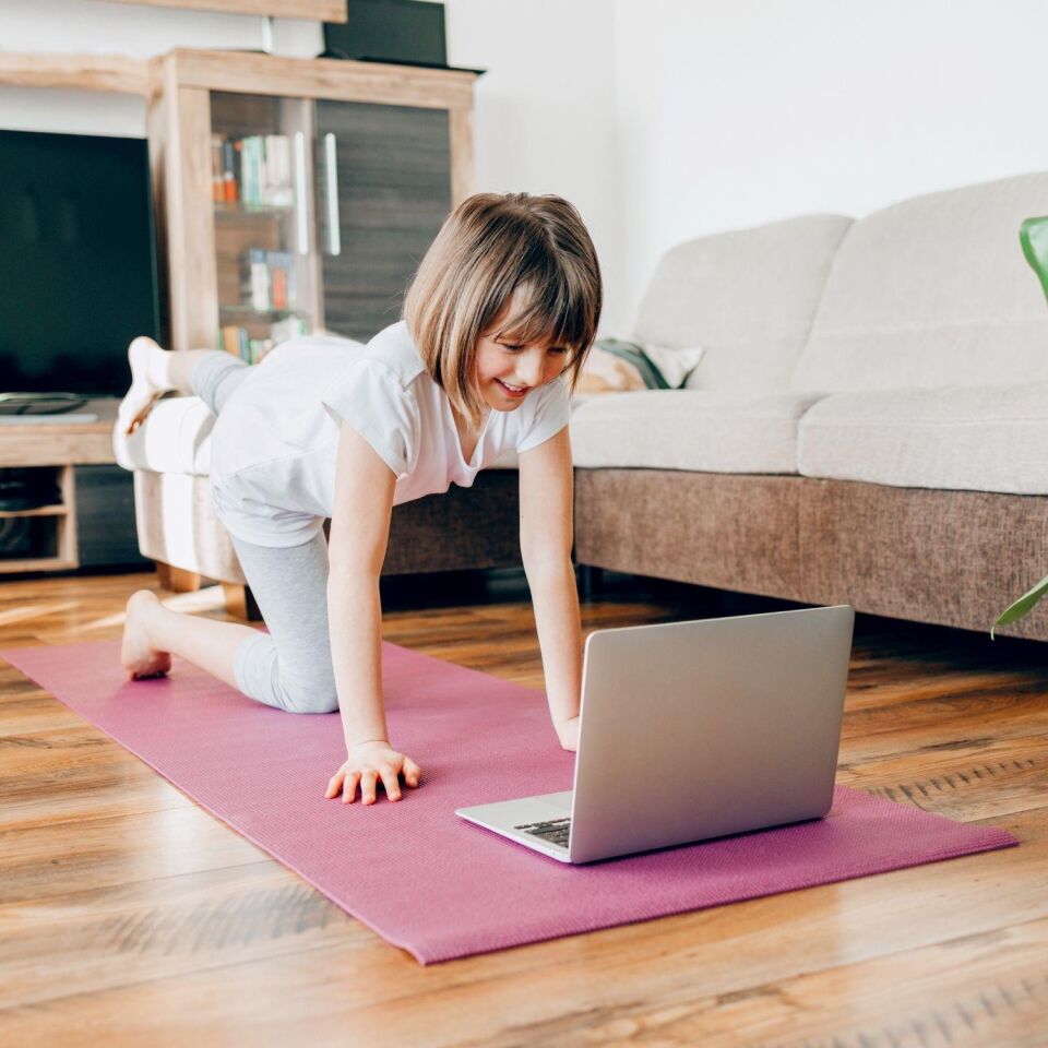 Vestibüler  Duyu Bütünleme (Online)