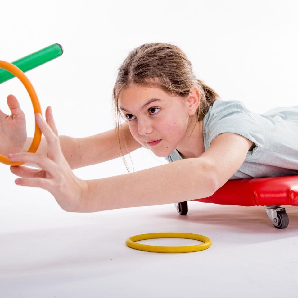 Vestibüler  Duyu Bütünleme (Online)