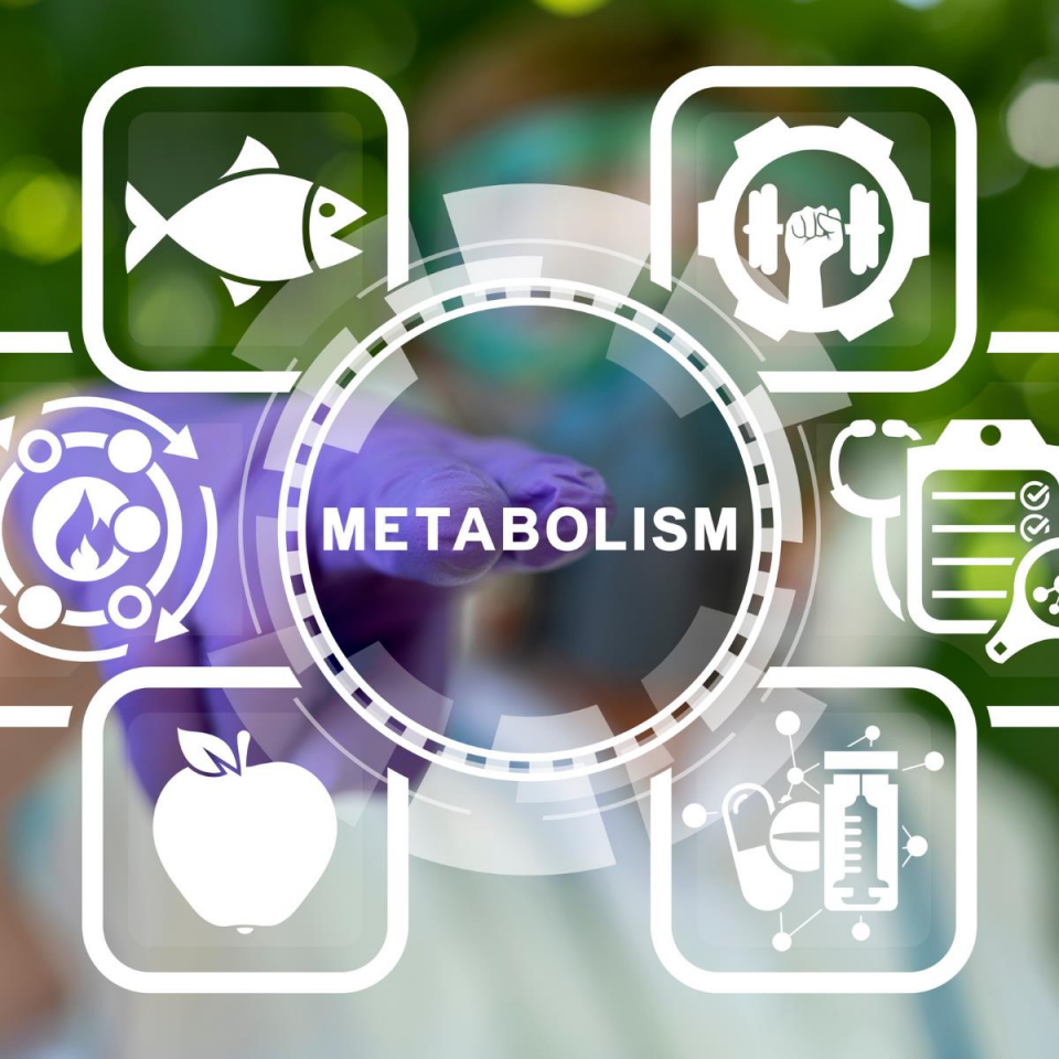 Metabolik Sendromda Beslenme Danışmanlığı (Yüz Yüze)