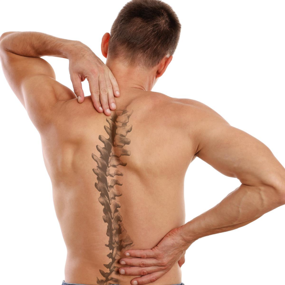 Skolyoz Problemleri İçin Egzersiz Danışmanlığı (Online)