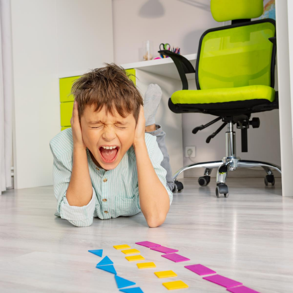 Otizmde Duyu Bütünleme (Online)